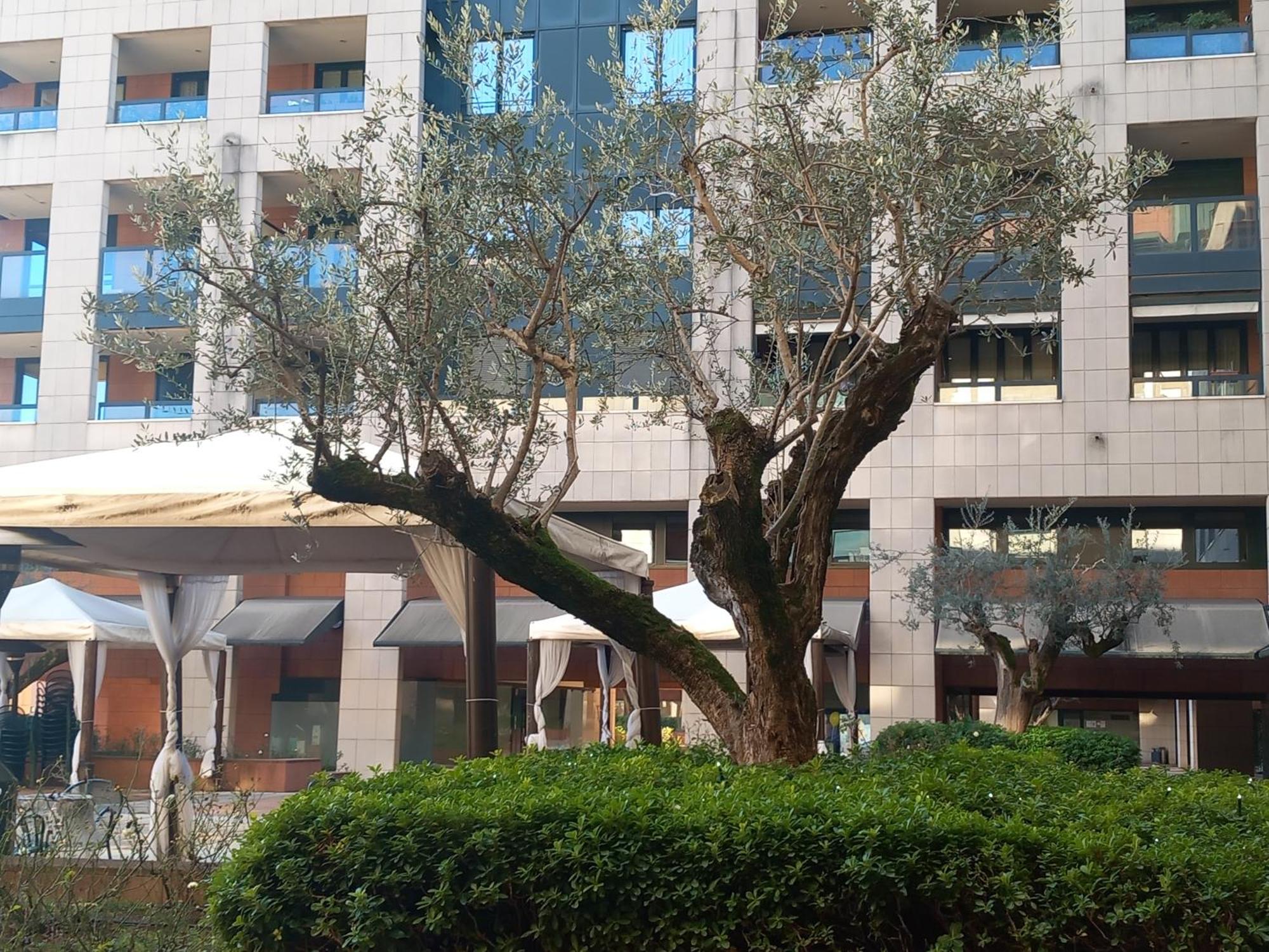Bilocale Con Terrazzo E Box Auto Su Richiesta Apartment โกโม ภายนอก รูปภาพ
